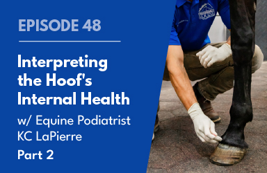Interpreting the Hoof’s Internal Health with Equine Podiatrist KC LaPierre Pt 2