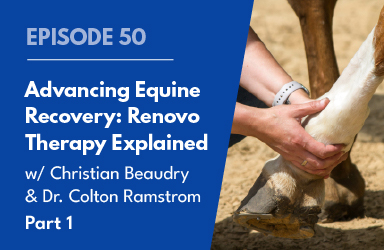 Advancing Equine Recovery: Renovo Therapy Explained with Christian Beaudry & Dr. Colton Ramstrom Pt 1