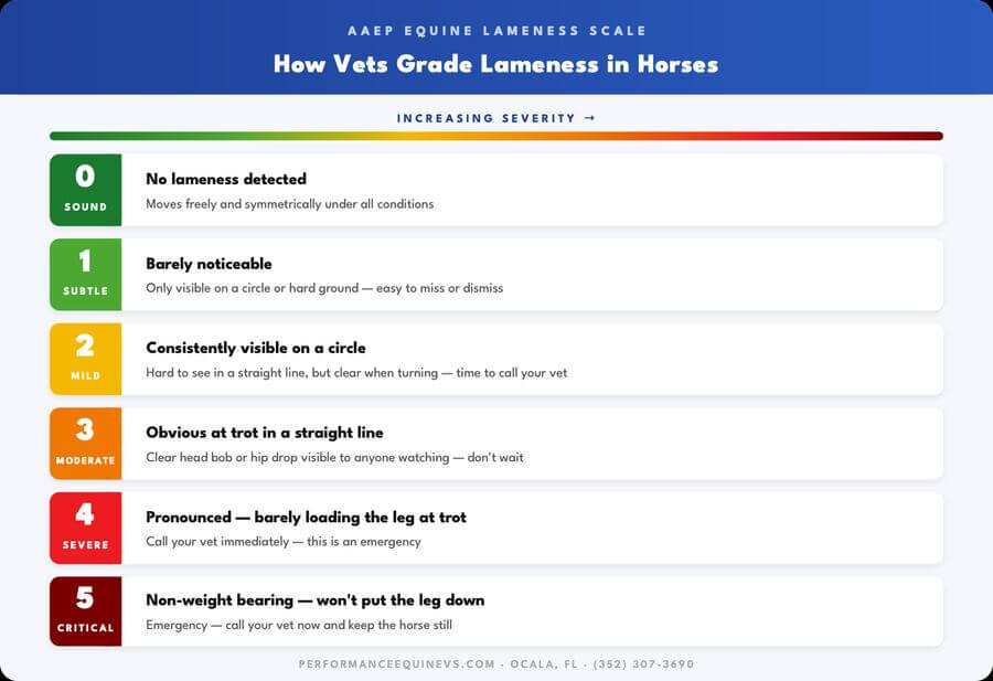 AAEP Equine Lameness Scale - how vets grade lameness in horses from 0 (sound) to 5 (critical)