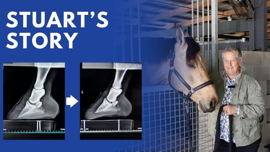 Stuart's Story - before and after radiographs with Dr. Bess Darrow and Stewart