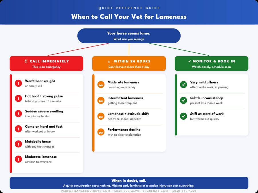 Quick reference guide: when to call your vet for lameness - call immediately, within 24 hours, or monitor and book in